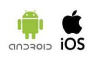 Android, iOS Development